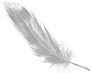 Feather