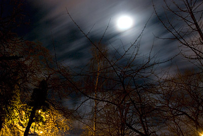 Night scene – Edgar Street, Hereford